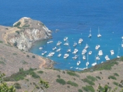 Whites Catalina 2005 04897.JPG: 2005/07/25 - Catalina - 2005